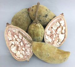 Baobab