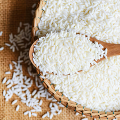 Protéines de riz
